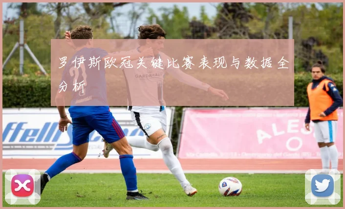 罗伊斯欧冠关键比赛表现与数据全分析