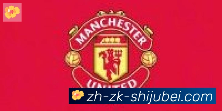 世界杯赛程表合作伙伴